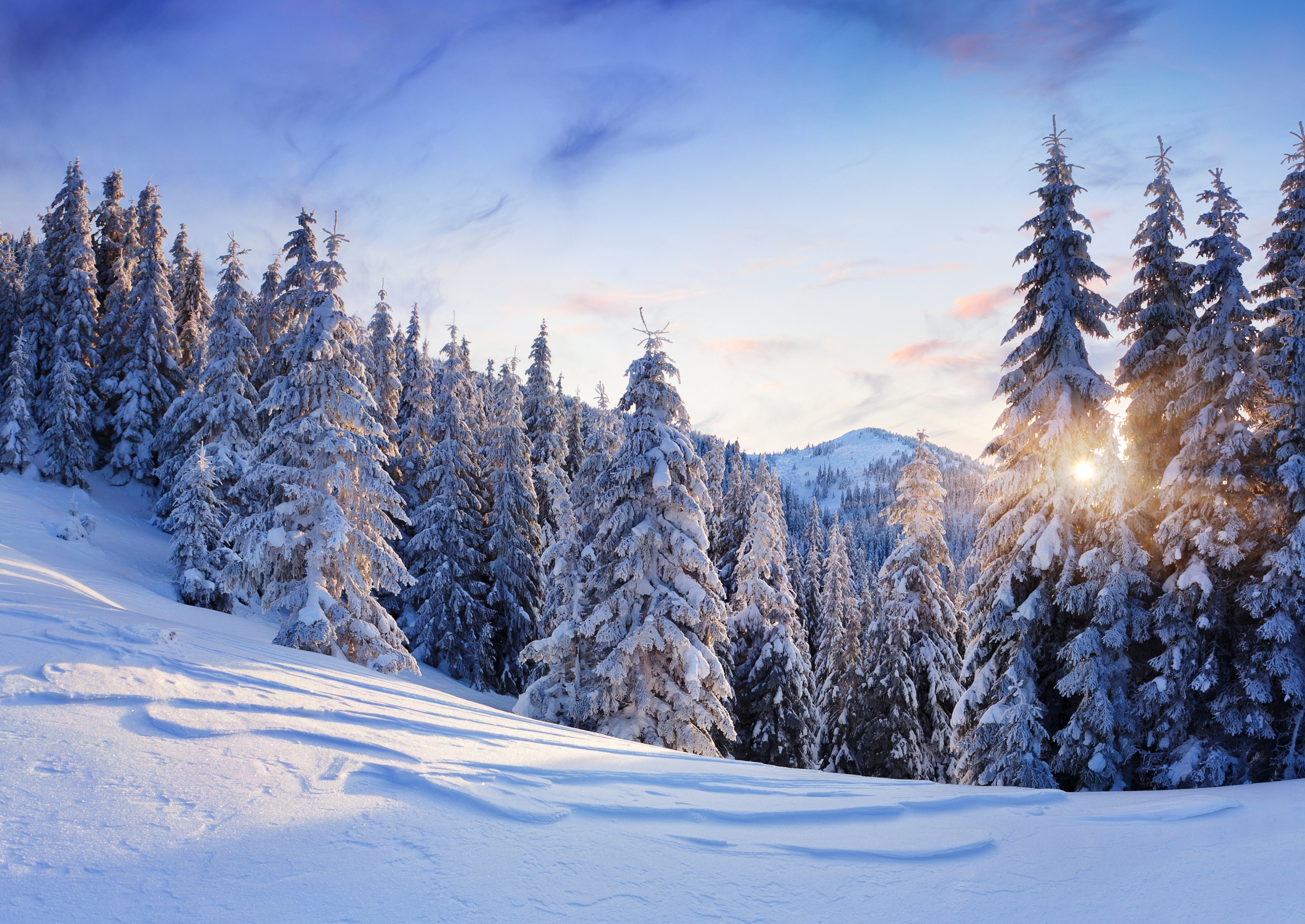 nature-winter-snow-mountains-trees-trees-firs-sky-sun-landscape